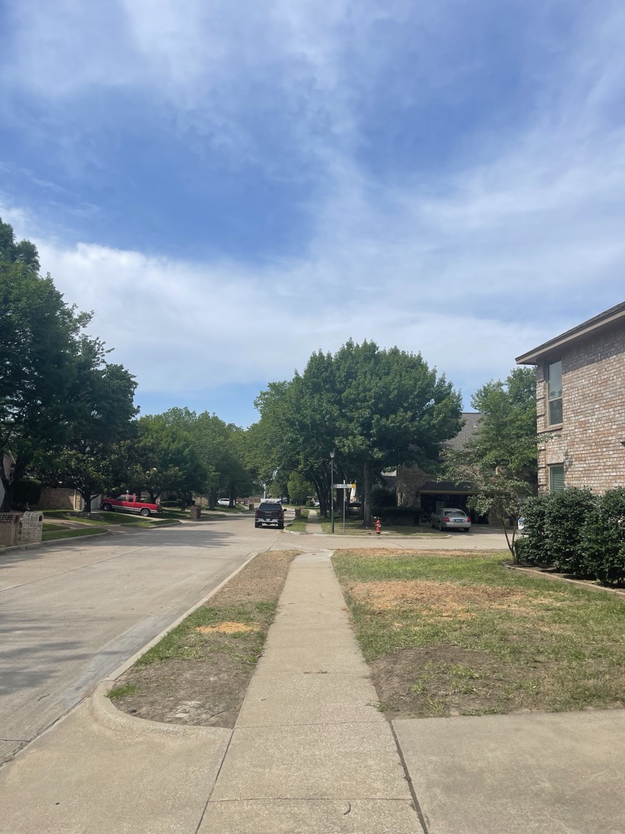 Property after tree service